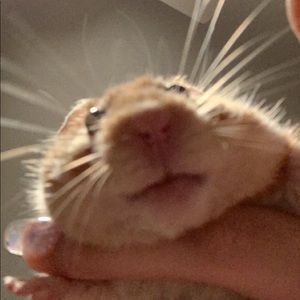 Meet your Posher, Sandra